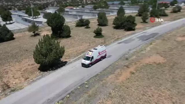 Konya'da yaralı hayvanlar 'Canbulan' ile hayata tutunacak
