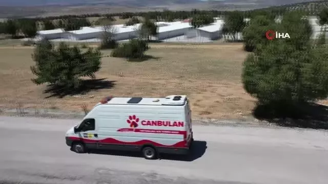 Konya'da yaralı hayvanlar 'Canbulan' ile hayata tutunacak