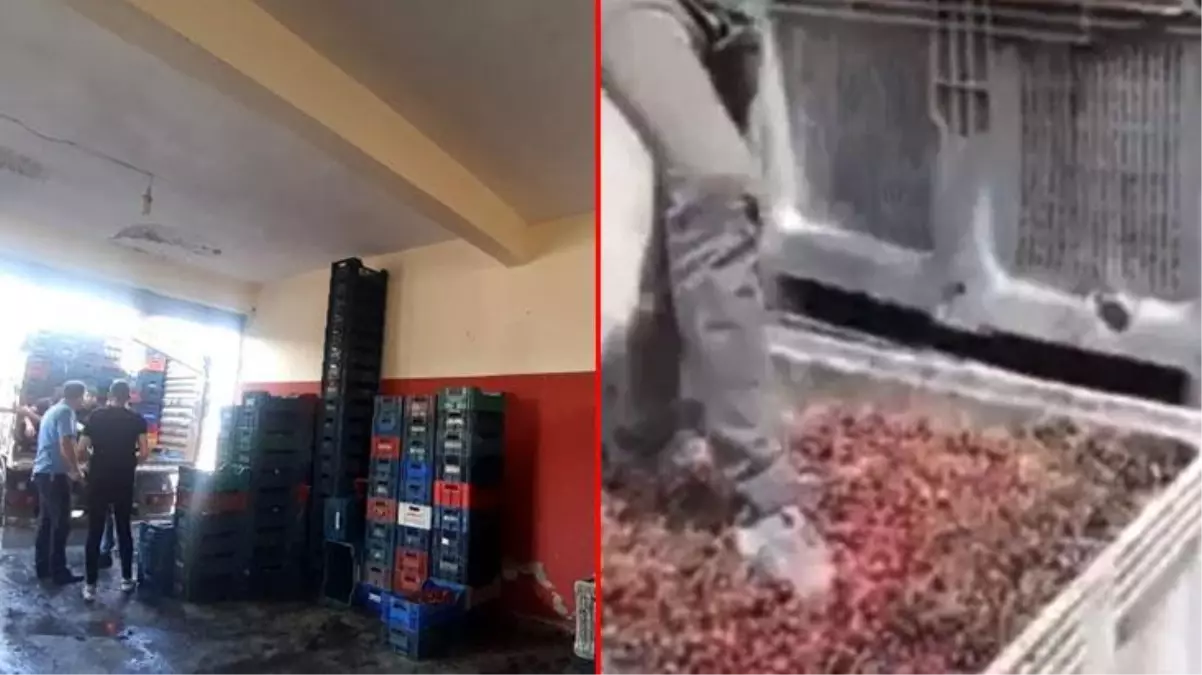 Meyve suyu tesisinde mide bulandıran görüntülerin ardından işletme sahibi ve 3 çalışanı gözaltına alındı