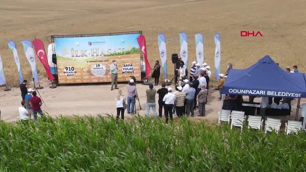 ODUNPAZARI BELEDİYESİ, 910 DEKARLIK ALANA ARPA, NOHUT VE YULAF EKTİ