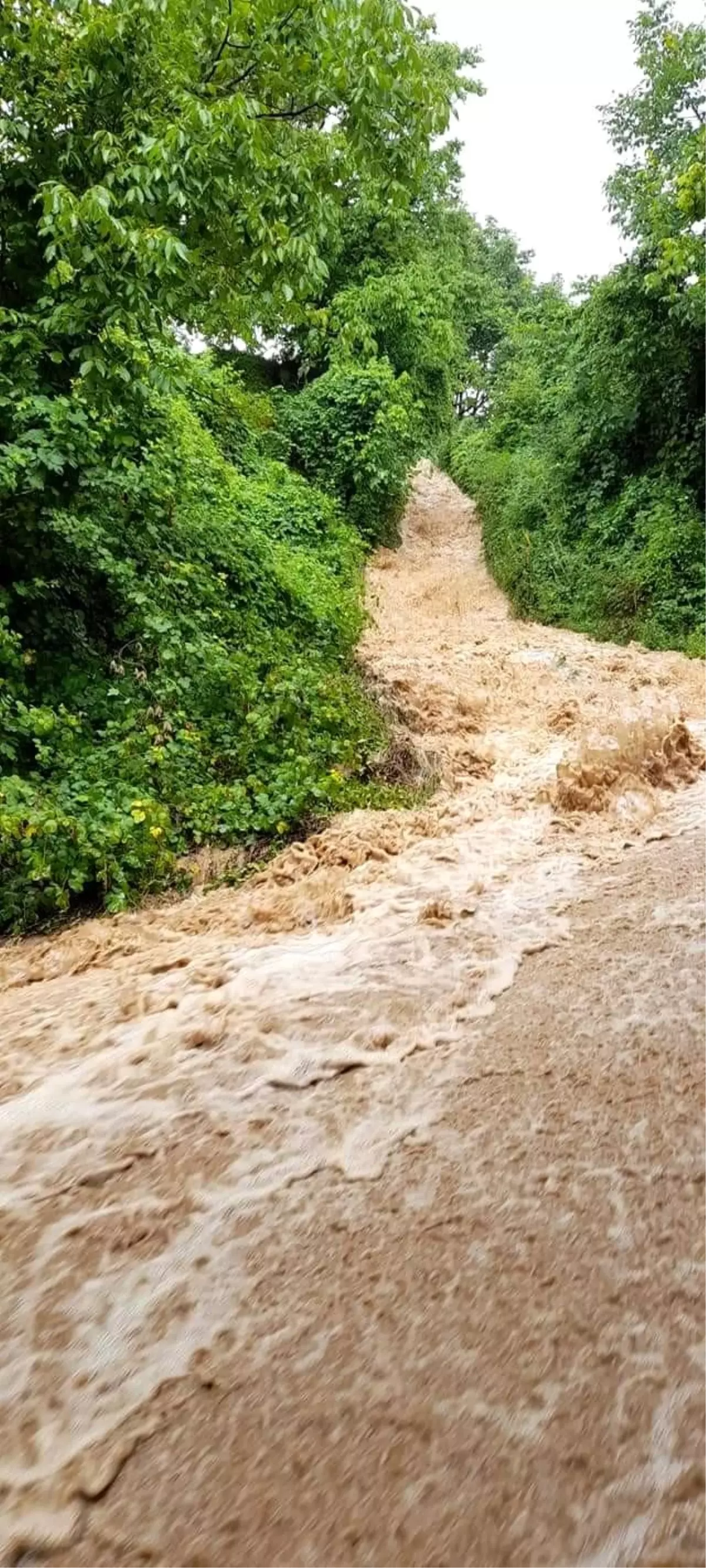 Orhaneli Başköy'ü sel bastı