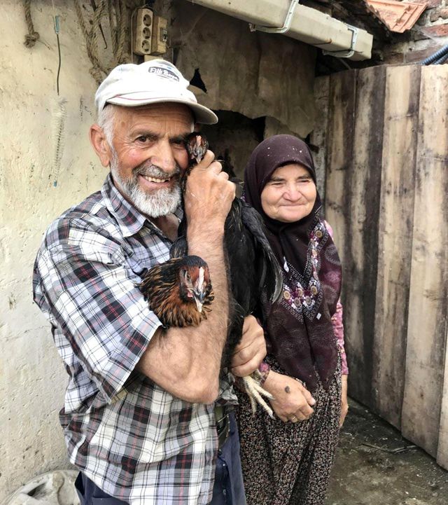 turkiye nin ilk yerli tavuk irki ciftcilere t 6 14250724 o