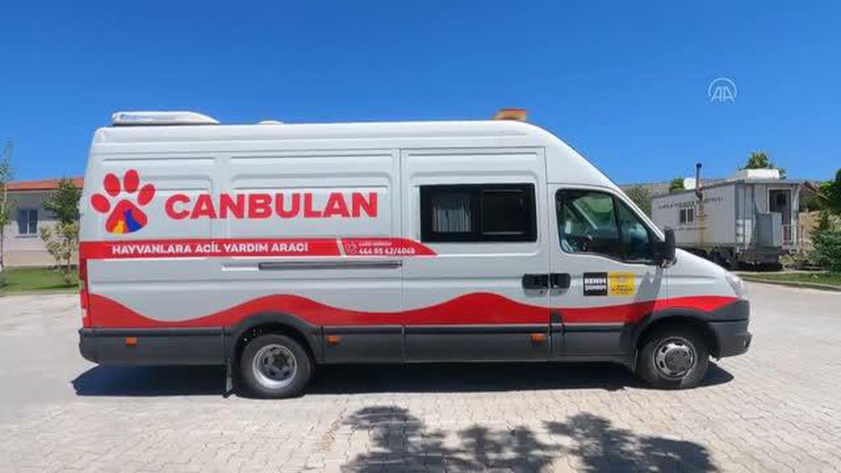 Yaralı sokak hayvanları 'Canbulan' ile hayat buluyor
