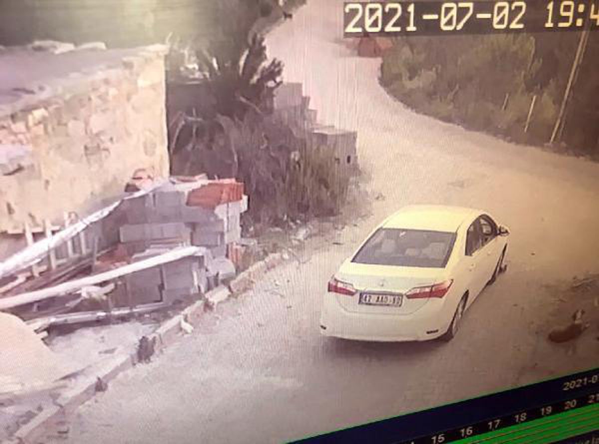 Yavru köpeği ezen sürücü yoluna devam etti