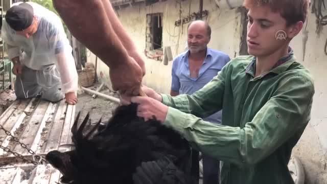 yurutulen proje kapsaminda ureticilere bu yil 3 14251502 o