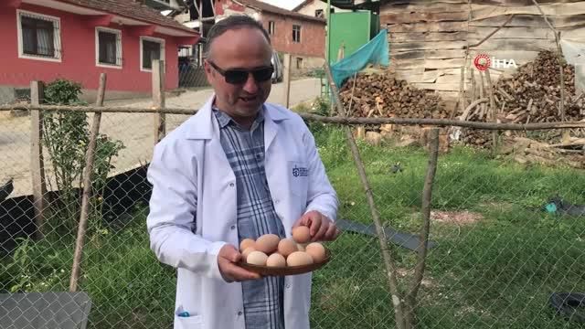 yuzde 50 hibeli tavuk destegi ciftcilerin yuz 4 14251949 o