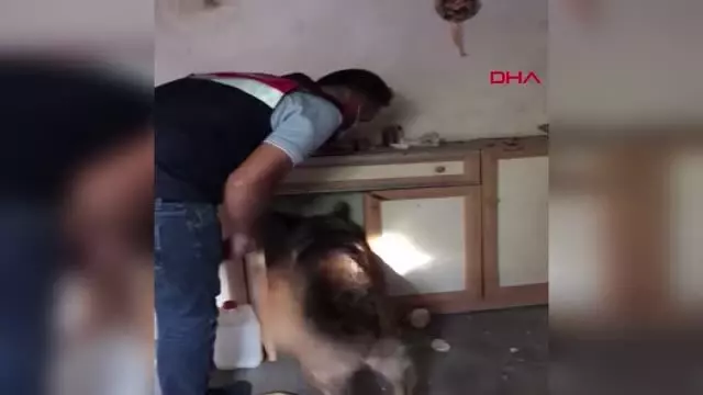 AHŞAP DOLABINDAKİ 2,5 KİLO ESRARLA YAKALANDI