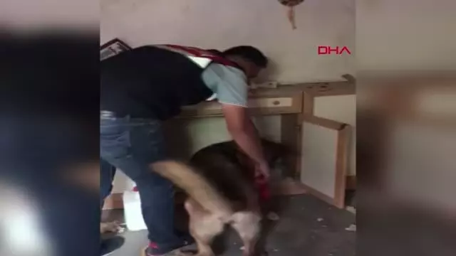 AHŞAP DOLABINDAKİ 2,5 KİLO ESRARLA YAKALANDI