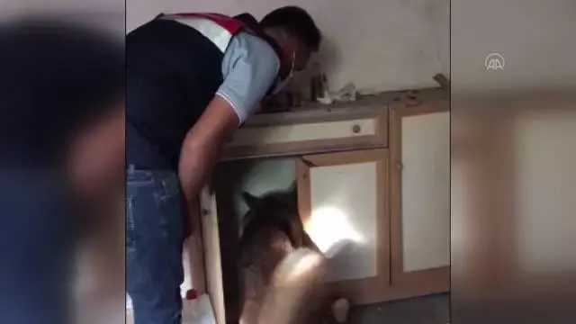 Elazığ'da 2 kilo 500 gram esrar ele geçirildi