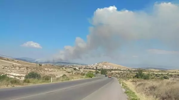 İzmir Foça'da orman yangını! Ekipler havadan ve karadan müdahale ediyor