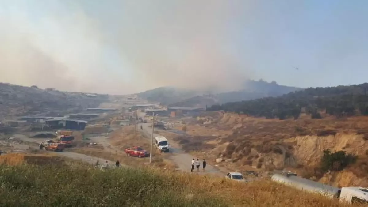 Son dakika: Foça'da orman yangını (2)