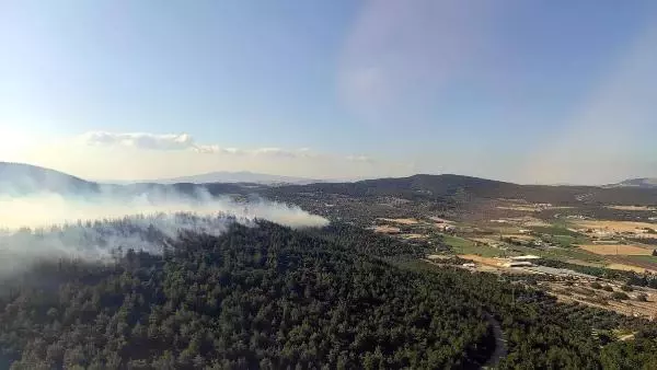 Son dakika: Foça'da orman yangını (2)
