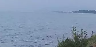 Son Dakika | Gürültü nedeniyle komşusunu öldürüp, 2 kişiyi de yaralayan emekli albay, intihar etti (2)- Yeniden