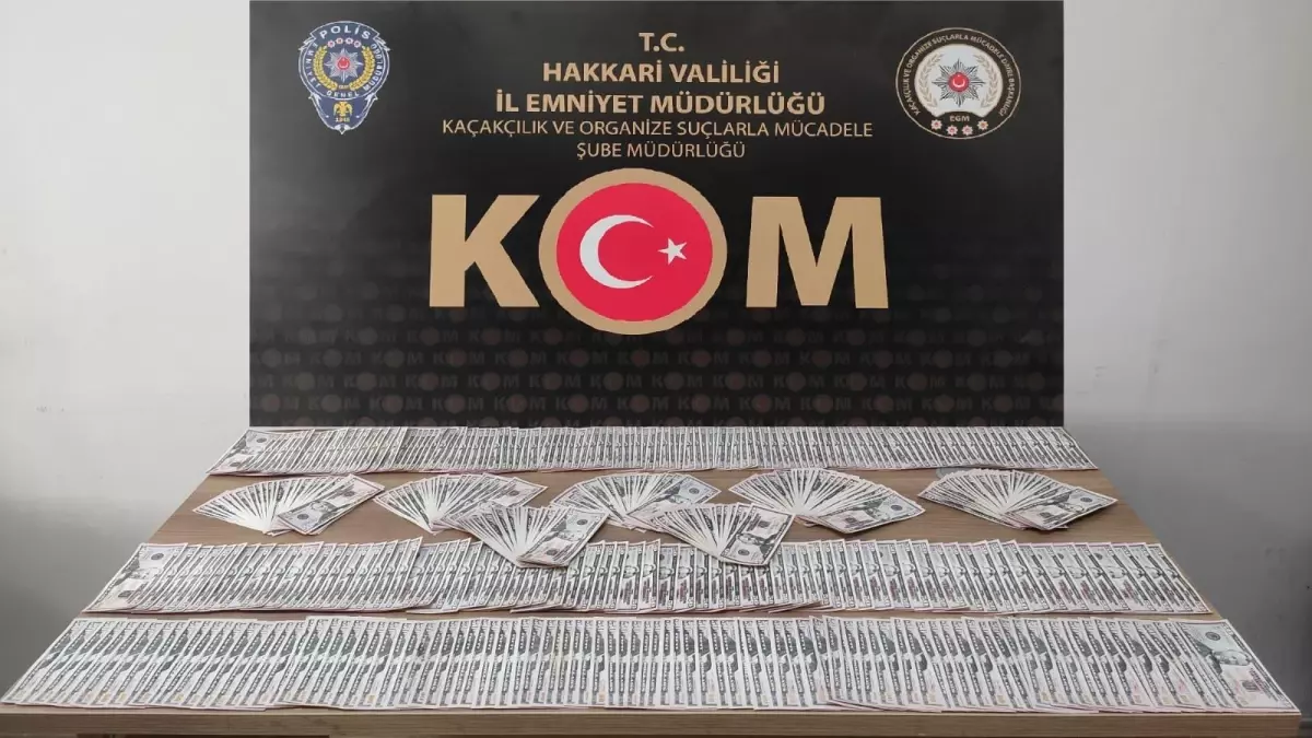 Hakkari'de 48 bin 100 dolar sahte para ele geçirildi