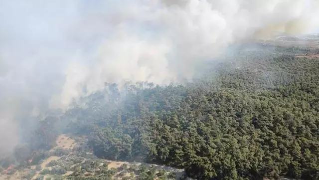 İzmir Foça'da orman yangını! Ekipler havadan ve karadan müdahale ediyor İzmir Foça'da orman yangını! Ekipler havadan ve karadan müdahale ediyor