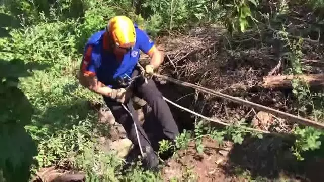 Kuyuya düşen köpeği AFAD ekipleri kurtardı Kuyuya düşen köpeği AFAD ekipleri kurtardı