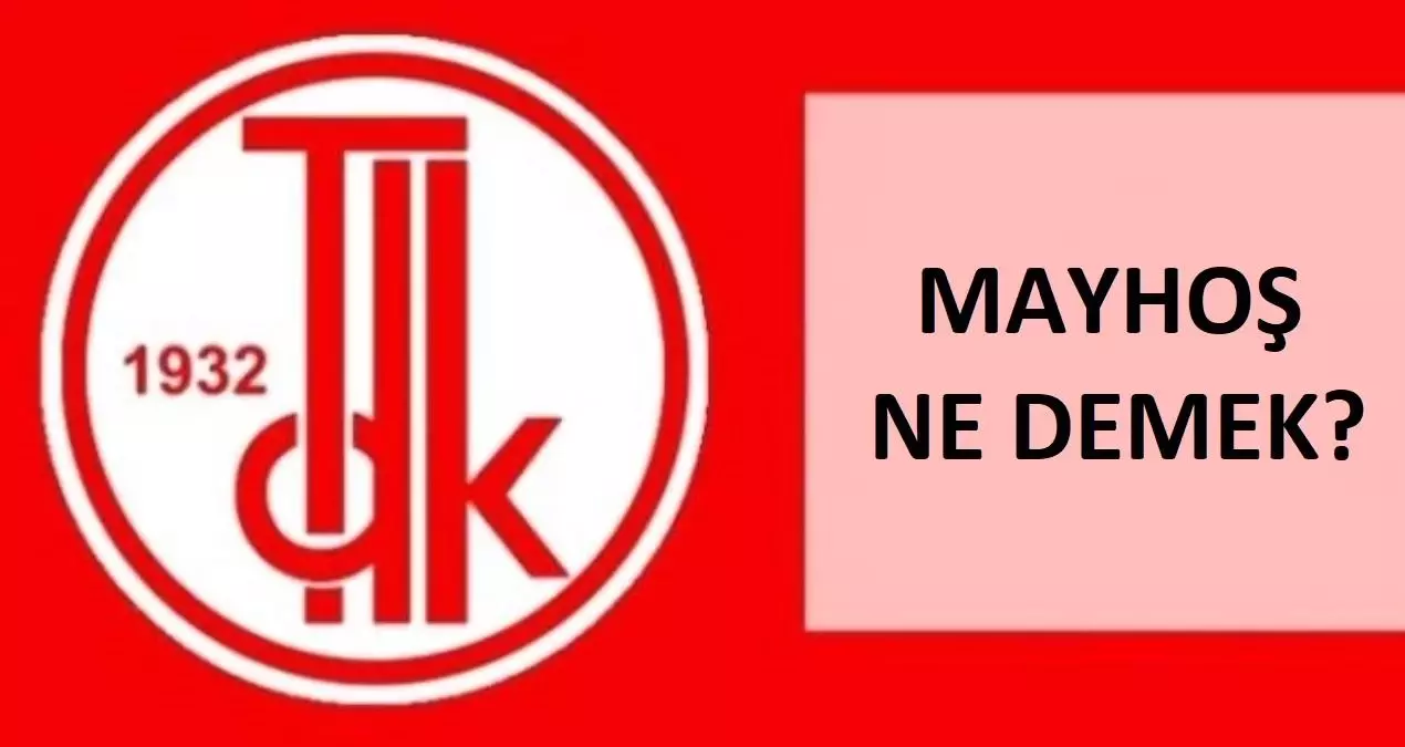 Mayhoş ne demek? TDK'ya göre mayhoş nedir, ne anlama geliyor?