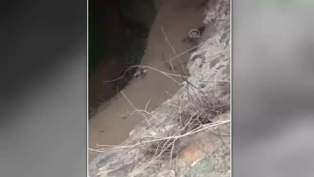 Muğla'da kuyuda düşen kedi yavrusu kurtarıldı Muğla'da kuyuda düşen kedi yavrusu kurtarıldı