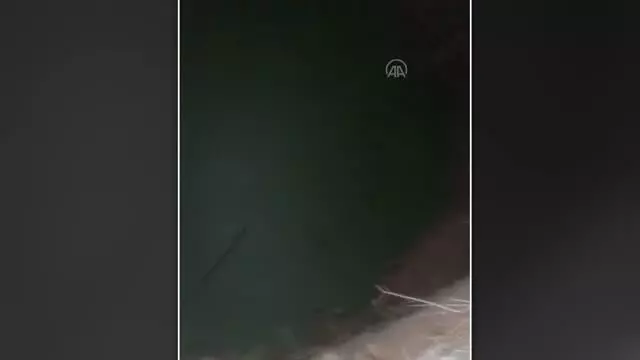 Muğla'da kuyuda düşen kedi yavrusu kurtarıldı