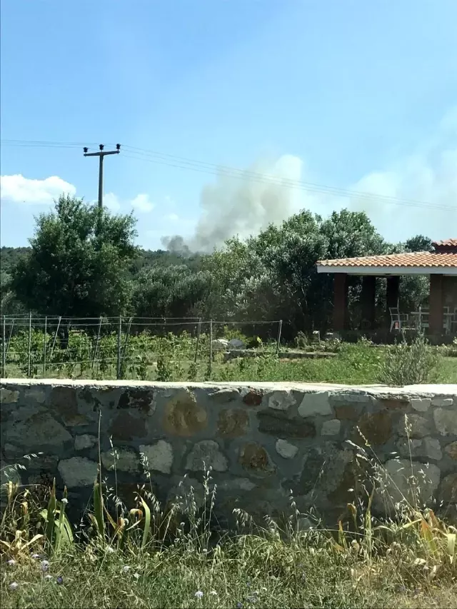 Son dakika haberi: Bakan Pakdemirli, Bozcaada'da çıkan orman yangını kontrol altına alındı