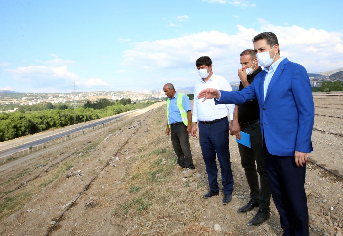Tokat'ta eski çöp depolama alanında oluşturulan lavanta bahçesinde ilk hasat yapıldı