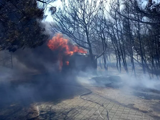 Yusuf Güney, Bozcaada'daki yangın söndürme çalışmalarına katıldı