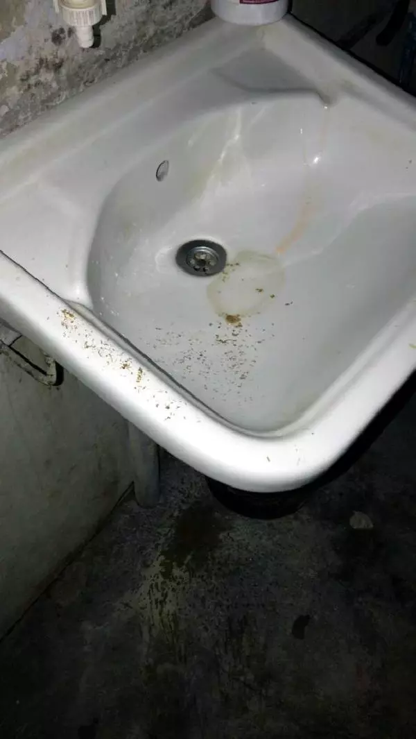 ADANA BONZAİYİ TUVALETE DÖKERKEN YAKALANDI