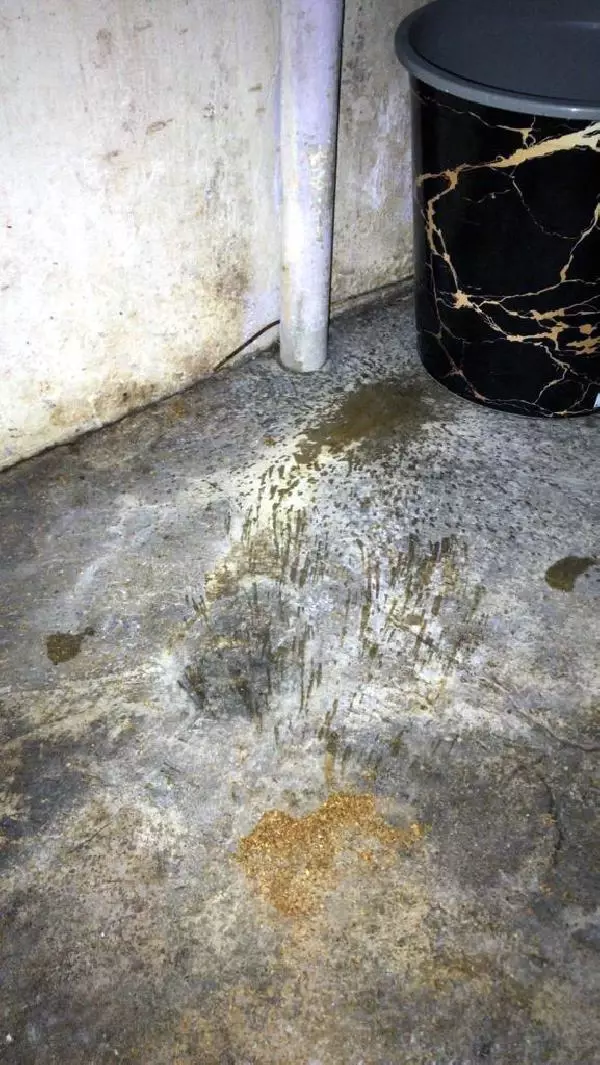 ADANA BONZAİYİ TUVALETE DÖKERKEN YAKALANDI