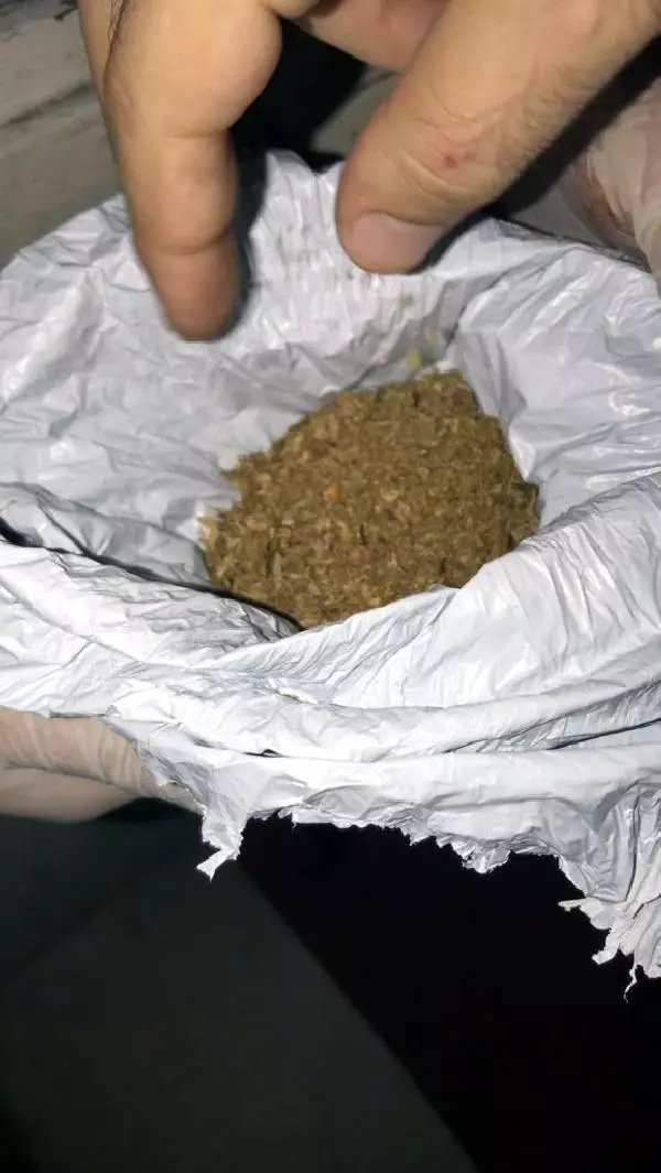 ADANA BONZAİYİ TUVALETE DÖKERKEN YAKALANDI