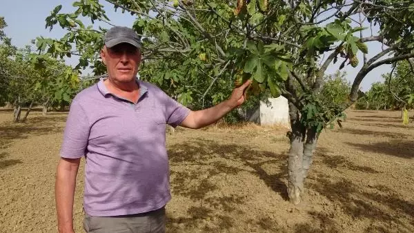 AYDIN ÇEVRECİLERDEN, MENDERES İÇİN 'TEHLİKE KAPIDA' UYARISI