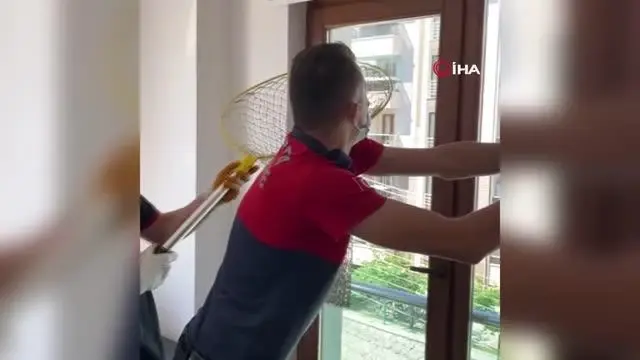 Isparta'da eve giren yarasayı itfaiye çıkardı