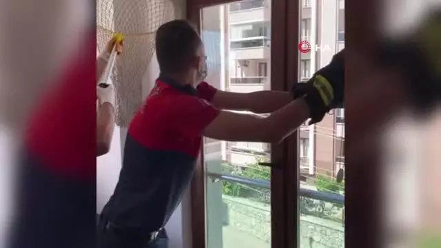 Isparta'da eve giren yarasayı itfaiye çıkardı