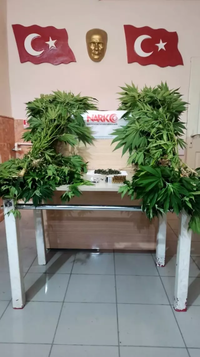 Son dakika haberleri! Narkotimlerden zehir tacirlerine seri operasyon