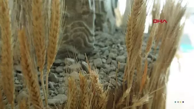 Türkiye'de 'İtalyan Tasarım Günleri'