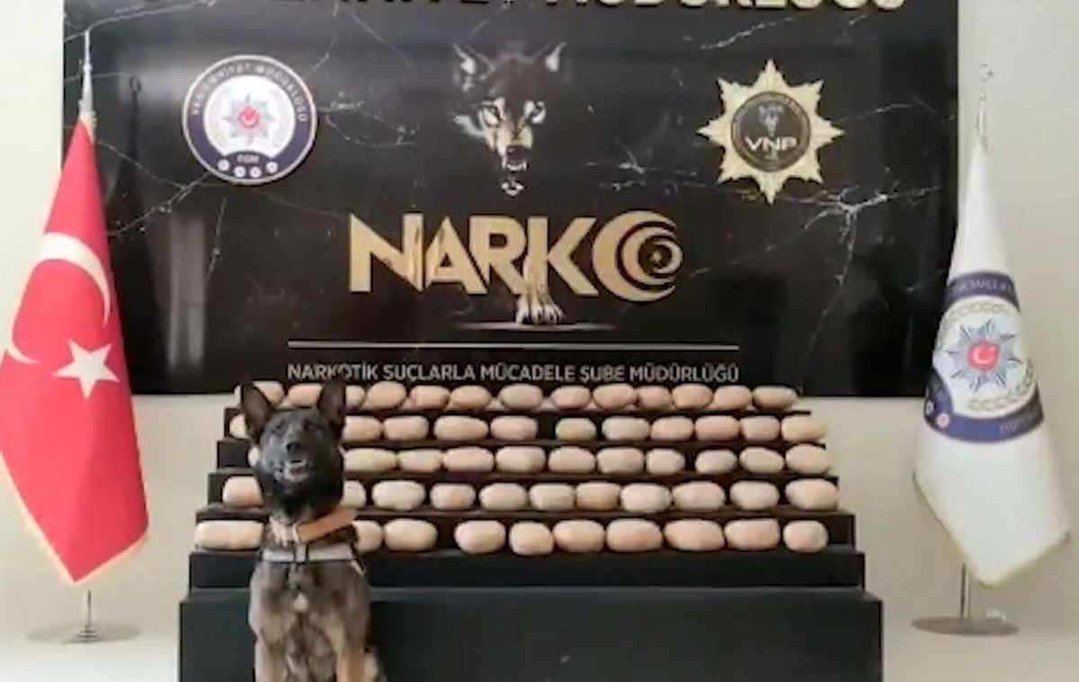 Van'da uyuşturucu tacirlerine darbe! 62 kilo 700 gram toz esrar ele geçirildi