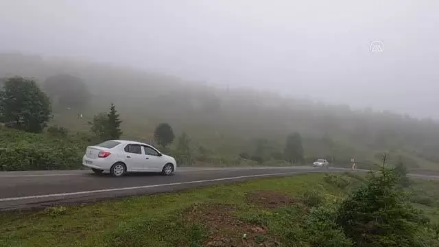 Yaylalardaki vatandaşlara mobil ekiplerce Kovid-19 aşısı yapılıyor
