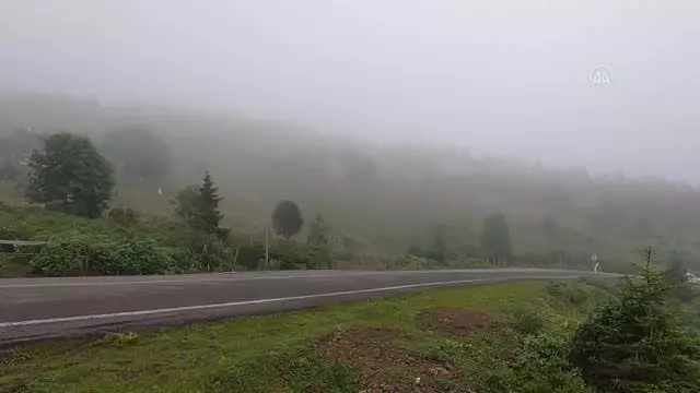 Yaylalardaki vatandaşlara mobil ekiplerce Kovid-19 aşısı yapılıyor