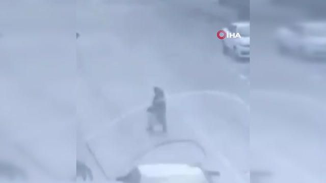yolun karsisina gecmeye calisan kadina otomob 3 14255054 o