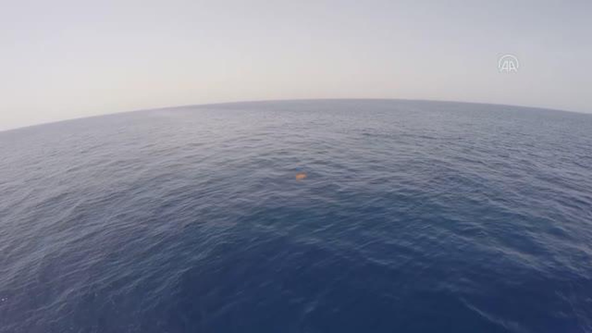 Akdeniz açıklarında iplere takılan deniz kaplumbağasını balıkçılar kurtardı