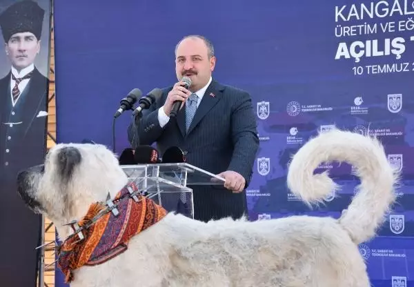 BAKAN VARANK: VİZYONSUZ MUHALEFETİMİZ VAR