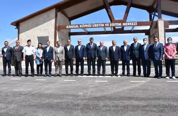 BAKAN VARANK: VİZYONSUZ MUHALEFETİMİZ VAR