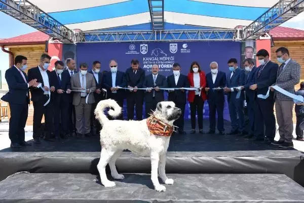 BAKAN VARANK: VİZYONSUZ MUHALEFETİMİZ VAR