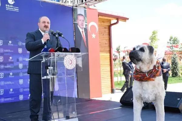 BAKAN VARANK: VİZYONSUZ MUHALEFETİMİZ VAR