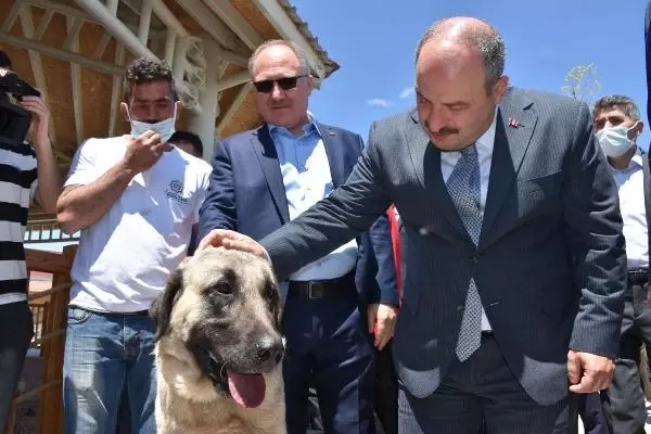 BAKAN VARANK: VİZYONSUZ MUHALEFETİMİZ VAR