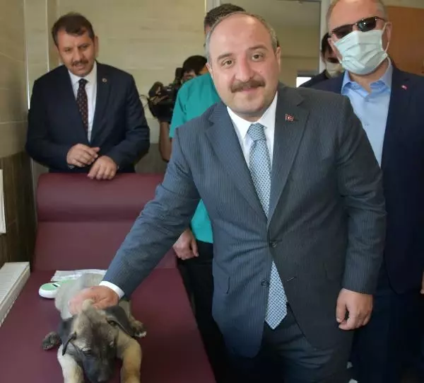 BAKAN VARANK: VİZYONSUZ MUHALEFETİMİZ VAR