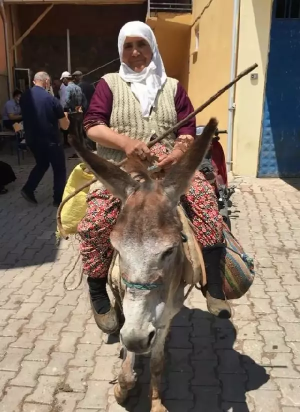 EŞEK SIRTINDA AŞI OLDU - Haberler 3 EŞEK SIRTINDA AŞI OLDU