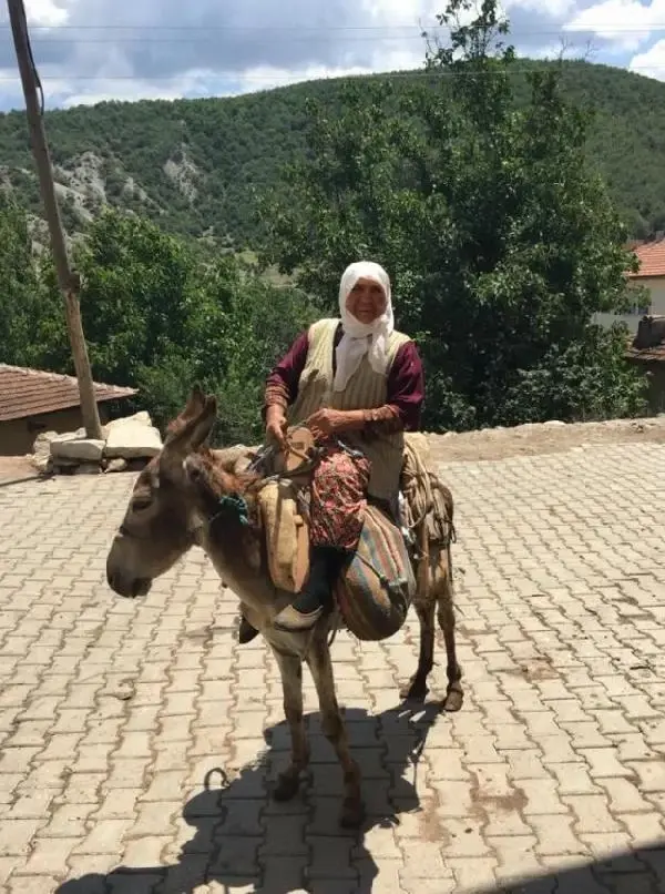 EŞEK SIRTINDA AŞI OLDU - Haberler 4 EŞEK SIRTINDA AŞI OLDU