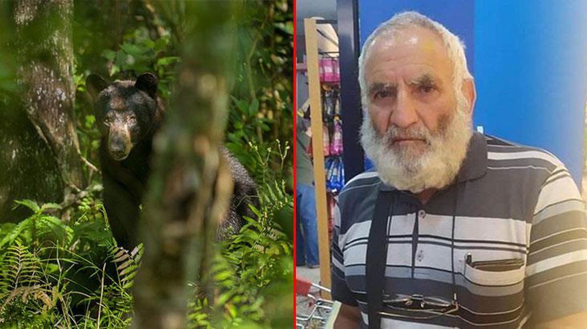 Vahşi ayı, talihsiz adamı parçalara ayırmış! Kardeşleri cansız bedenini görünce hıçkırıklara boğuldu