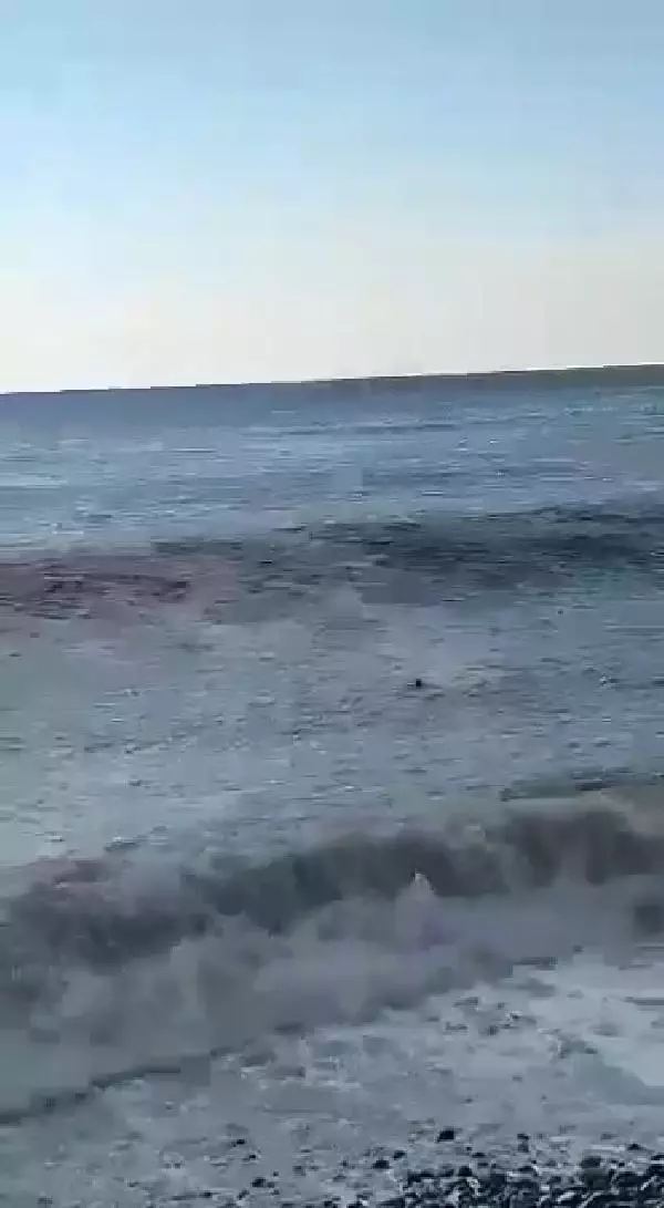 Rize'de, denizde 6 gündür aranan babası için kıyıdan ayrılmıyor
