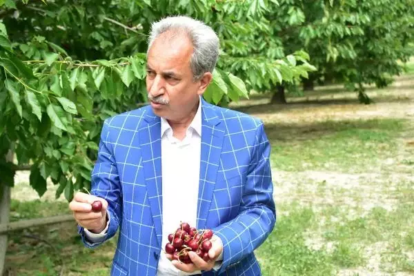 AKŞEHİR KİRAZI, DÜNYA PAZARINDA